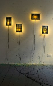 Lidija Antanasijevic 