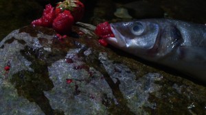 Laure Provost Swallow