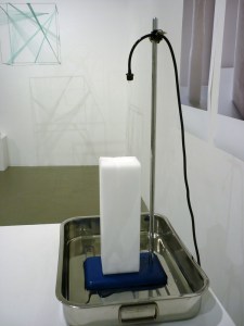 Phillip Hall-Patch Salt LIcks