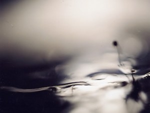 Catherine Jacobs Uncertainties 