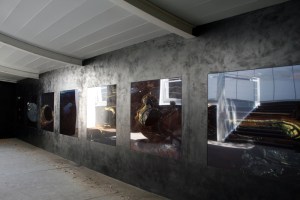 Simryn Gill Eyes and Storms