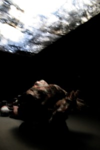 Berlinde De Bruyckere's 'Cripplewood' 