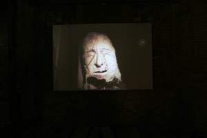 Leon & Cocina Loa Andes