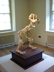 Hyungkoo Lee 'Ridicularis'