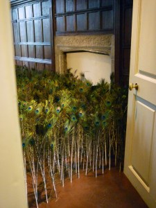 Susie MacMurray 'Spectacle'