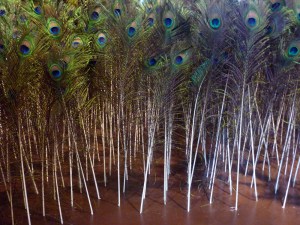 Susie MacMurray 'Spectacle'