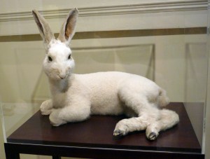 1309 Thomas Grunfeld 1