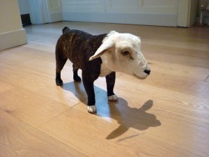 Thomas Grunfeld 'Misfits'