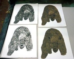 Bear test prints