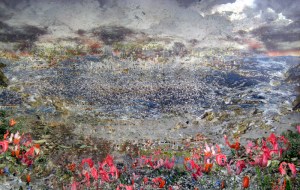 Jane Ward In the Bay Shining