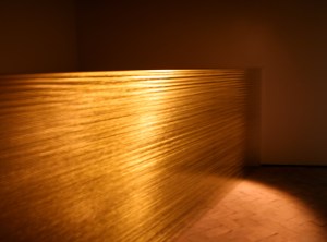 Irena Lagator Pejovic