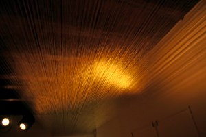 Irena Lagator Pejovic