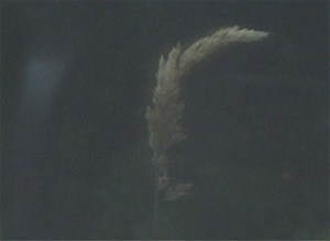 Seamus Harahan Torch extended