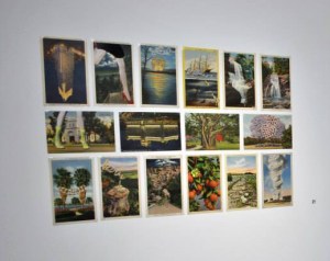 Holly Stevenson 'Naturally we are all going to have a palmy time'