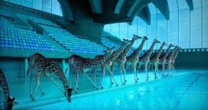 '5 Metres 80' directed by Nicolas Devereaux