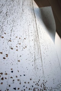 1311 Australian Pavilion (6)