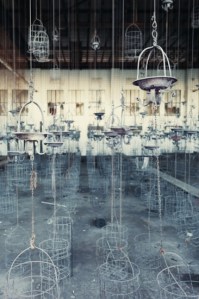 Mine:Changing Room Gina Soden