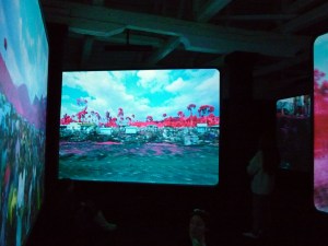 Richard Mosse 'The Enclave'