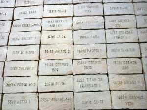 Elisabetta Benassi - The Dry Salvages