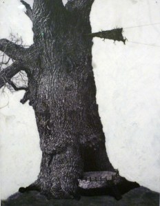 Patrick Van Caeckenbergh 