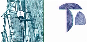 1404 YWT publication_0002