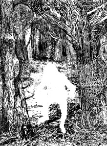 Forst drawing printed onto thin paper