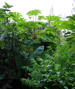 1407 Henstead Garden 2