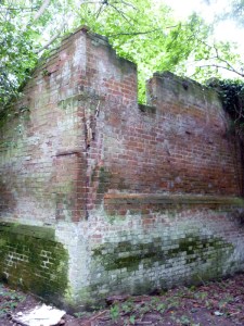 1407 Henstead Garden