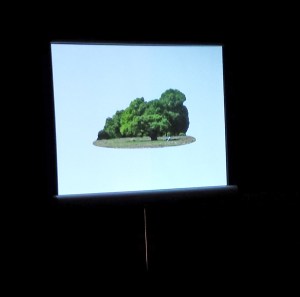 Marion Coutts - Everglade