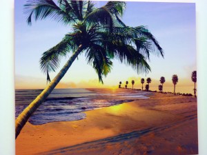 Vangeli Moschopoulos