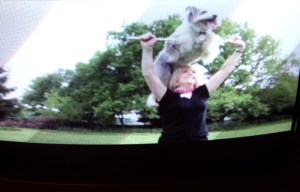 Nick Abrahams - Doghouse