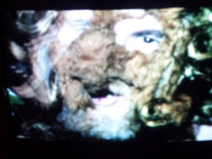 Nick Abrahams 'The Wild Man'