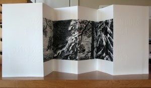 Wuon-Gean Ho - unending forest