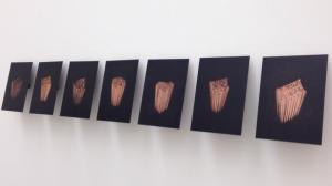 James Seow  Always Feel Safe