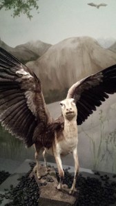 Fauna - Joan Fontcuberta