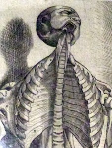 1411 Museum Plantin Moretus 3