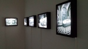 Olga Chernysheva Cactus Seller 2009