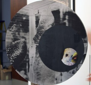 1502 Everydaymatters 1