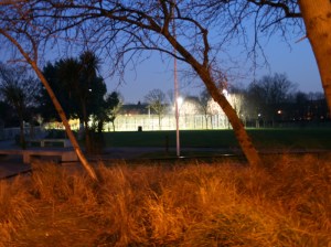 1502 Paradise Passage 1