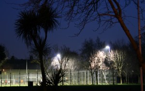 1502 Paradise Passage 3