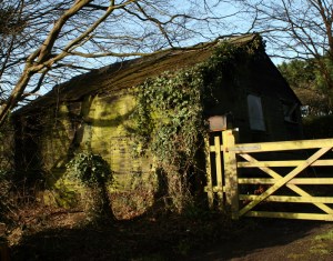 Adams Hut, Paradise Park Lane 