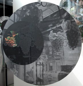 Susan Eyre everydaymatters