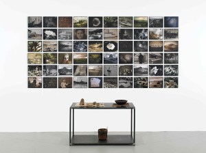 Michelle Stuart Ring of Fire