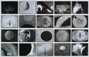 Michelle Stuart Night Over Alice Springs