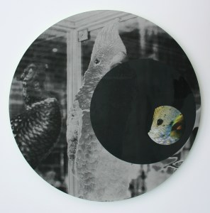 Susan Eyre everydaymatters(tropicalia SW3)