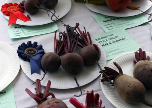 1510 Widecombe Fair beetroot