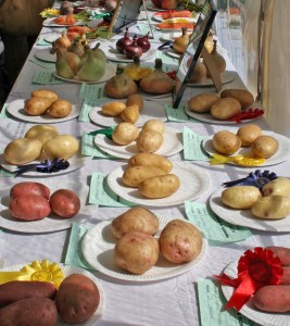 Widecombe Fair Prize Vegetables
