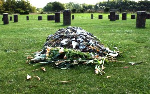 1510 Wood Henge grave