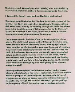 Hannah Collins The Fertile Forest