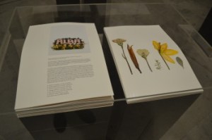 Taryn Simon at Venice Biennale